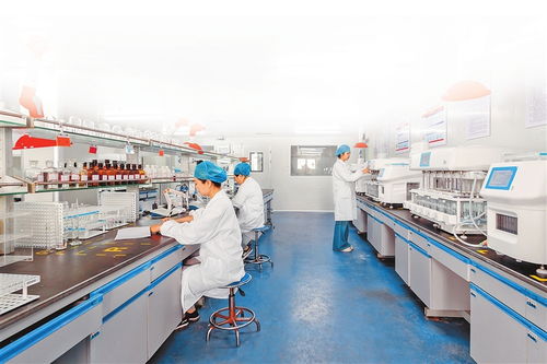 奋战四季度 确保全年红丨“药”领全球 “谷”兴中原 药品生产开足马力冲刺年度目标