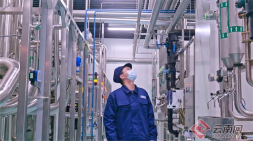 云南生物医药产业崛起 从血液制品到疫苗，强身健体的“云南造”药品生产新篇章