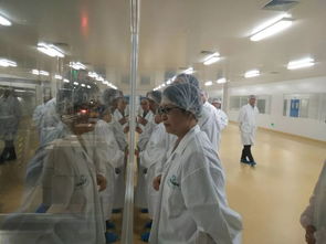 赖蓉局长为大亚湾区药品生产监管工作点赞 筑牢安全防线，护航健康未来