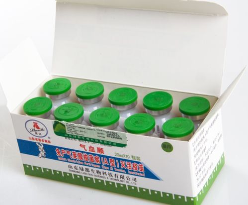 绿都公司 正品药品包装与生产全解析