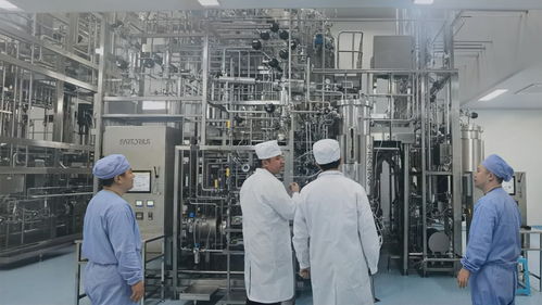 AI助飞科研创业 多快好省——药品生产领域科研范式变革催生新质生产力调查（下篇）